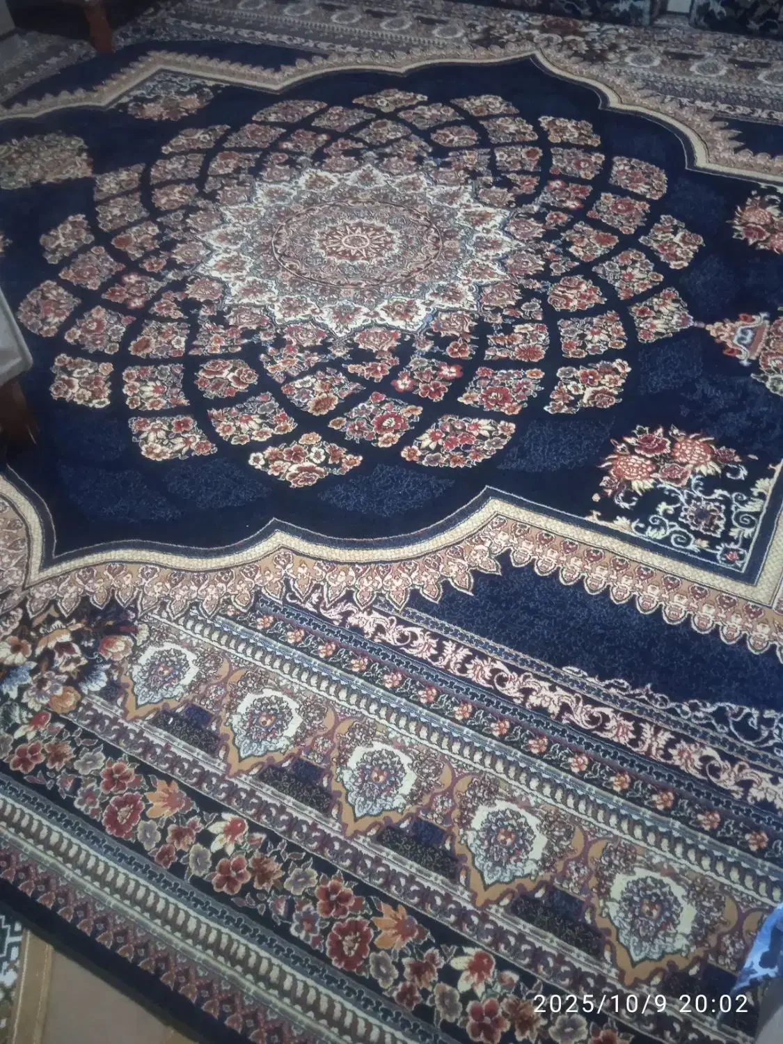 فرش 12متری|فرش|سنندج, |دیوار