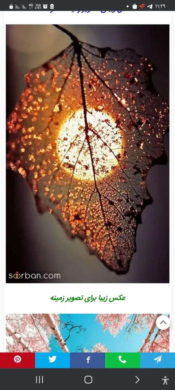 همکاری در زمینه شغل دوم|فعالیت داوطلبانه|محمدیه-قزوین, |دیوار