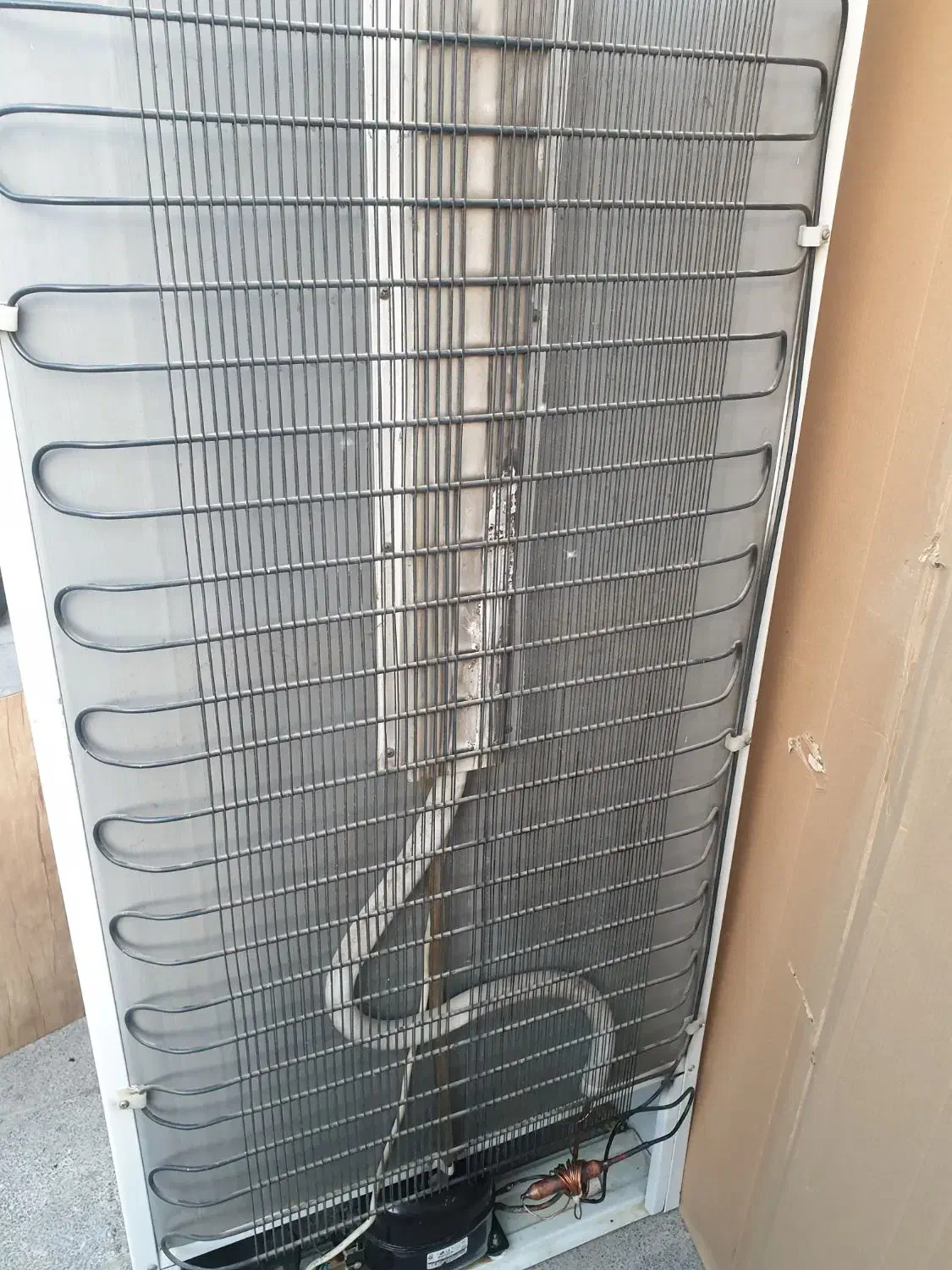 یخچال فریزر سالم و تمیز تازه سرویس شده گاز هم زدم|یخچال و فریزر|محمدشهر, محمدشهر|دیوار