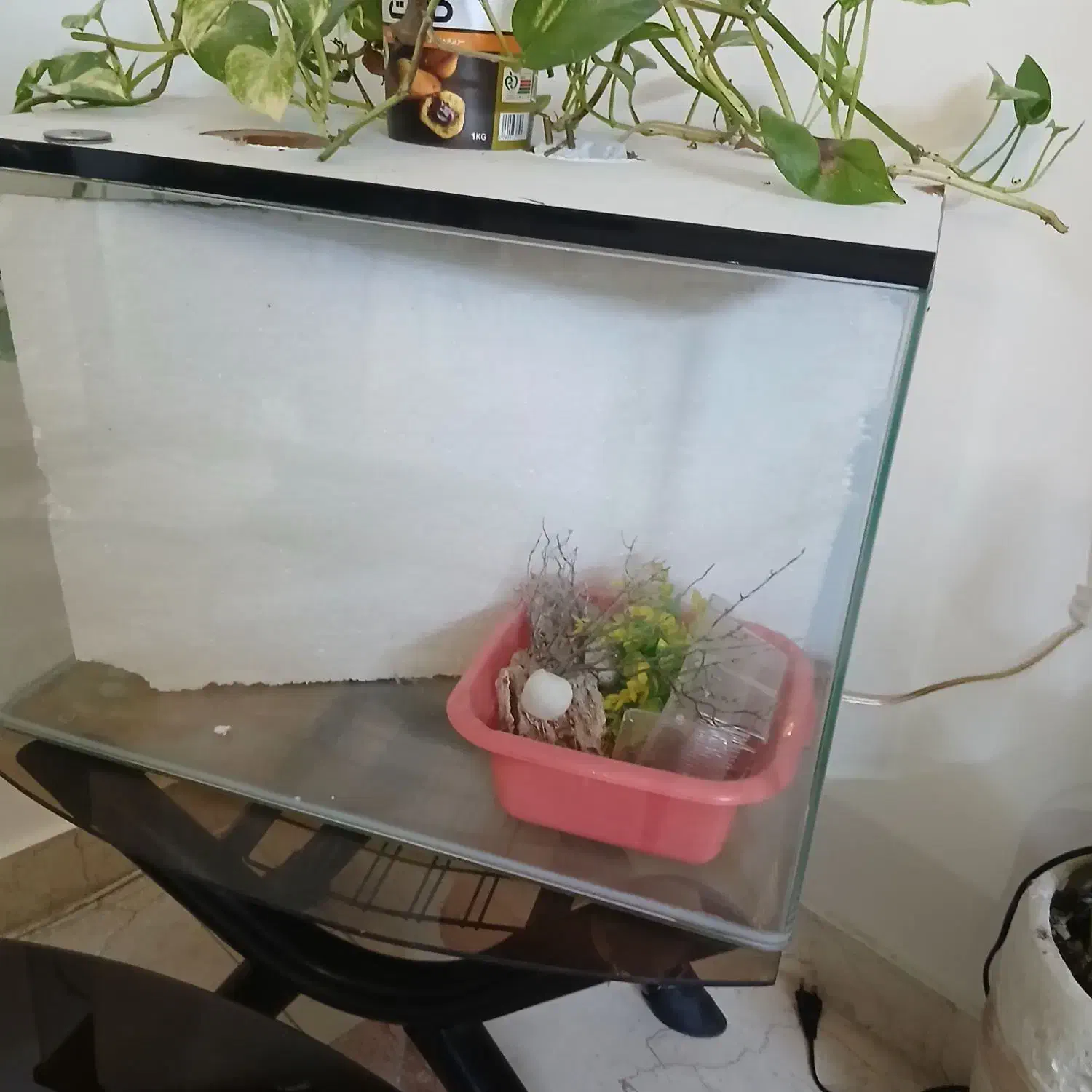 آکواریم 30×50|ماهی|تهران, جوادیه تهرانپارس|دیوار