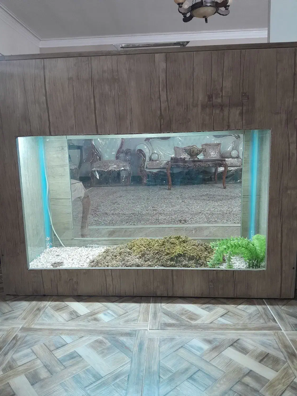 آکواریوم|ماهی|سیرجان, |دیوار