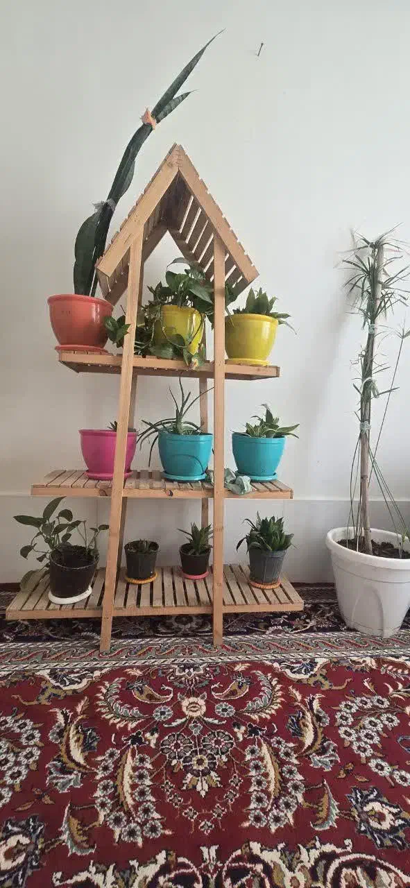 گل و پایه|گل و گیاه طبیعی|سبزوار, توحیدشهر|دیوار