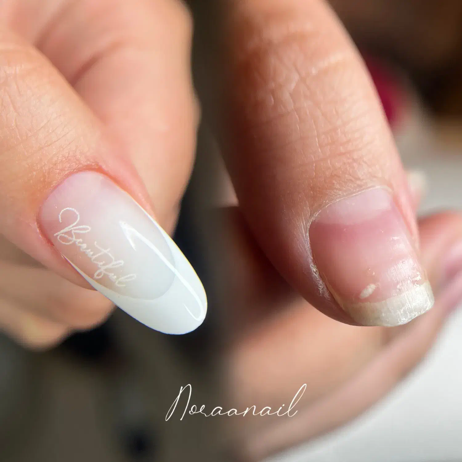 آموزش ناخن|خدمات آموزشی|نیشابور, هفده شهریور|دیوار