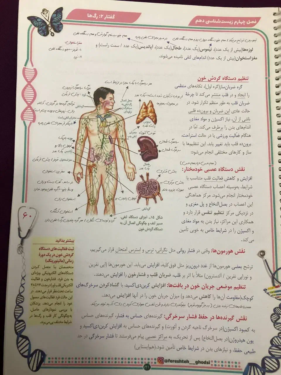 جزوه زیست دهم همراه با نکات و سوالات آزمون قلمچی|کتاب و مجله آموزشی|دابودشت, |دیوار