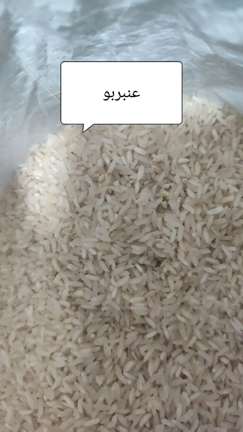 برنج عنبربو / عنبر / کامفیروز|خوردنی و آشامیدنی|شیراز, میانرود|دیوار