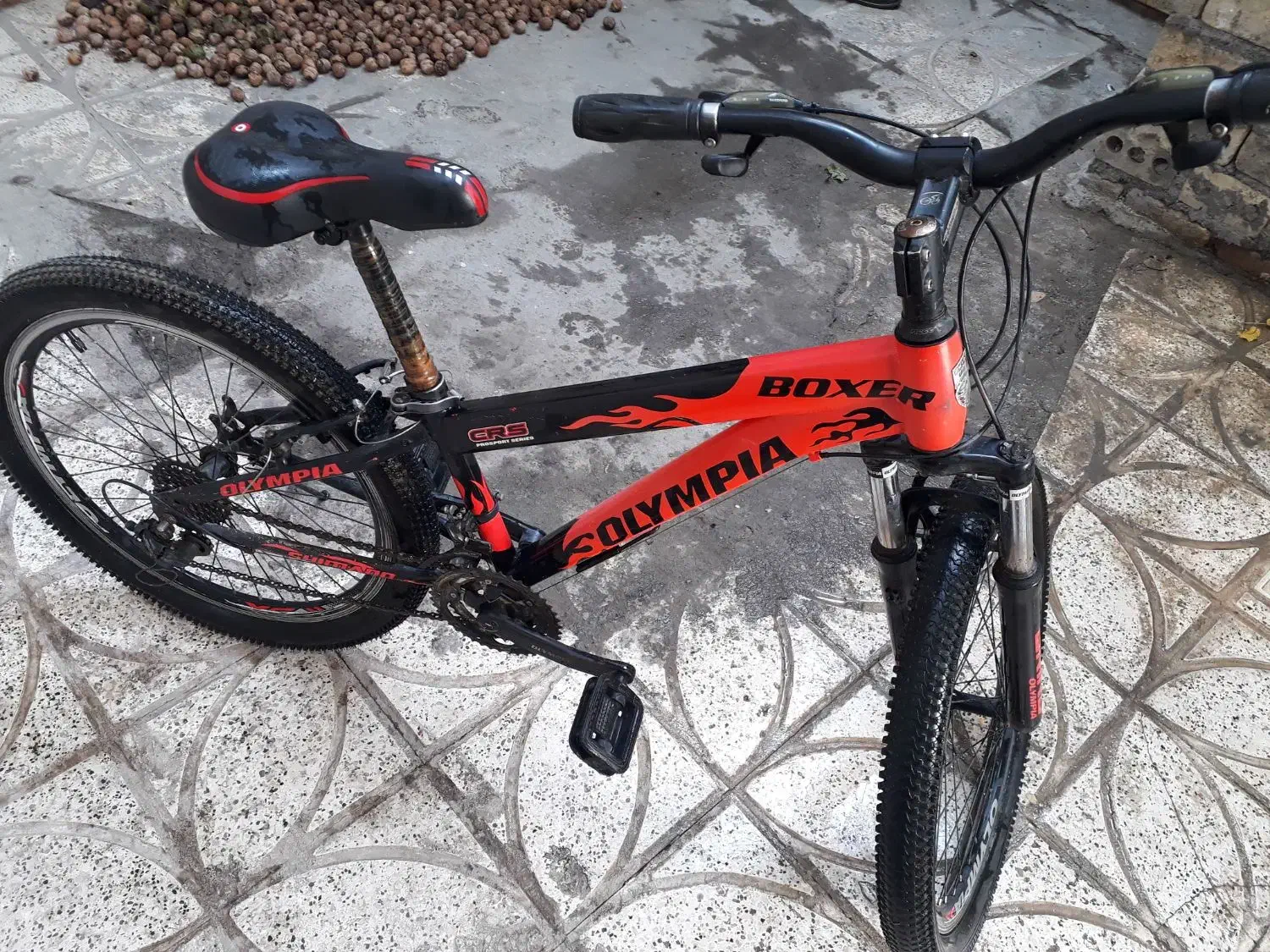 دوچرخه ۲۴ المپیاودوچرخه بچه گانه|دوچرخه، اسکیت، اسکوتر|مشهد, تبادکان|دیوار