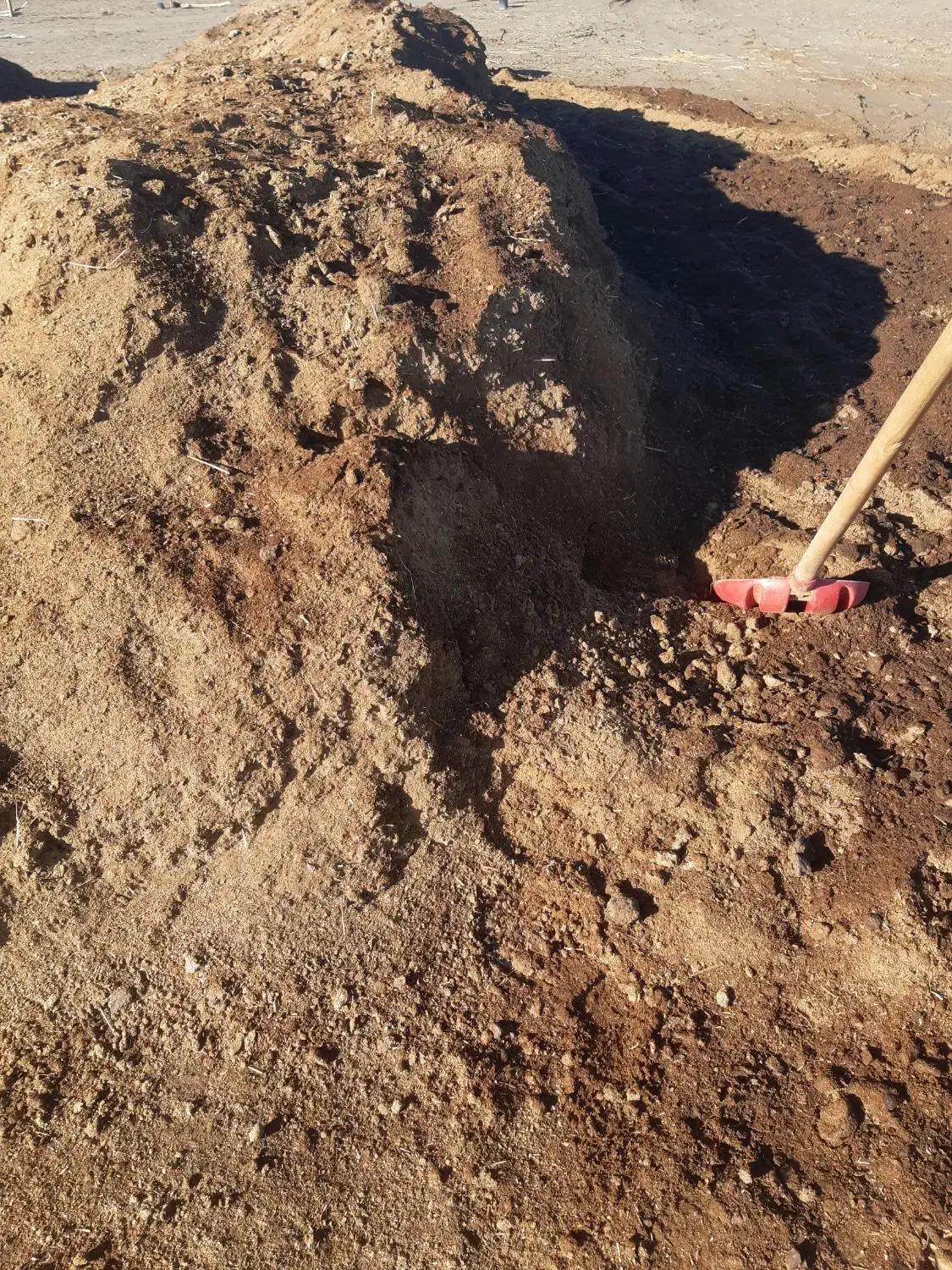 کود‌حیوانی‌گاوی|گل و گیاه طبیعی|گمیشان, |دیوار