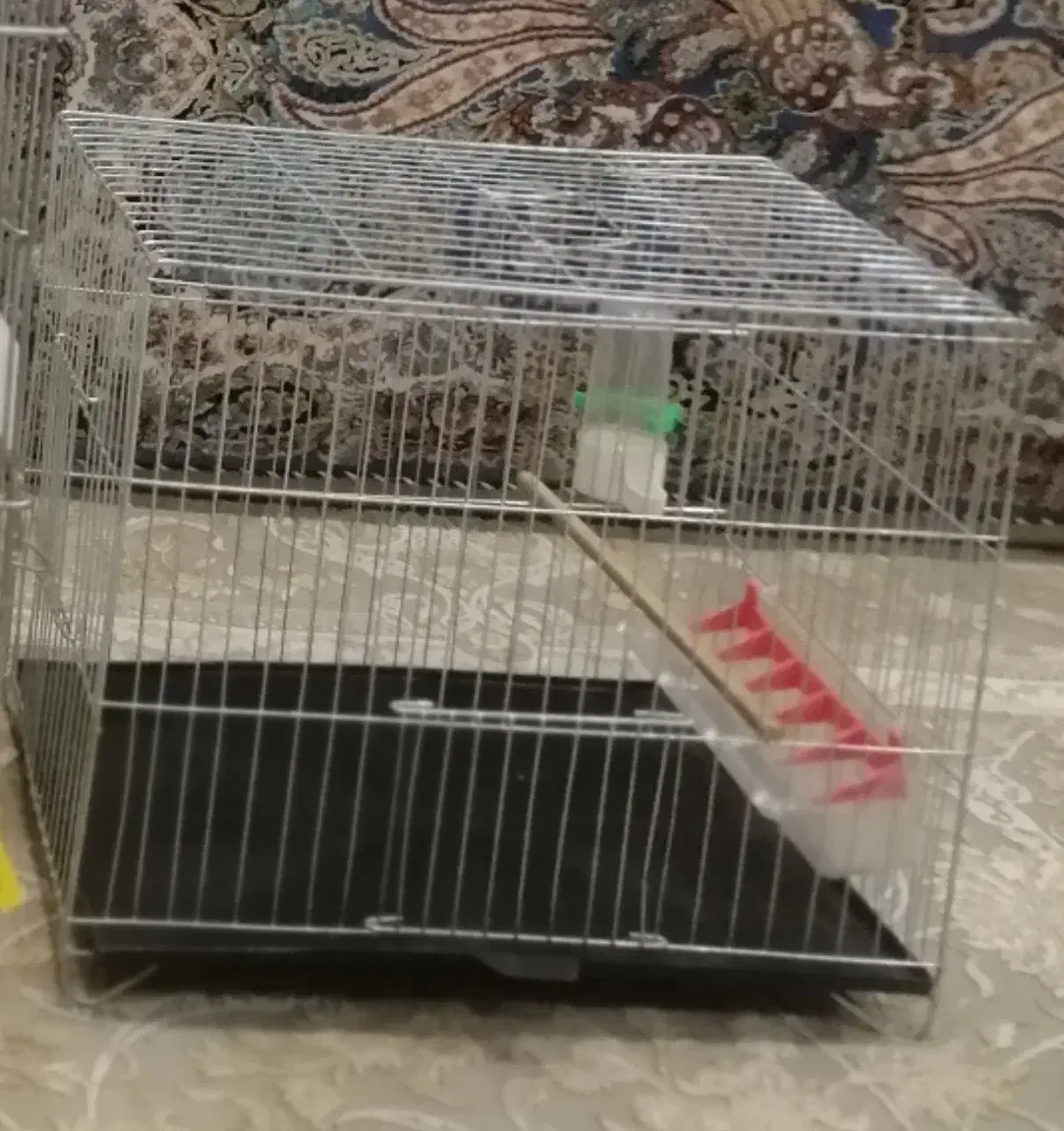 قفس پرنده|لوازم جانبی حیوانات|قم, الغدیر|دیوار