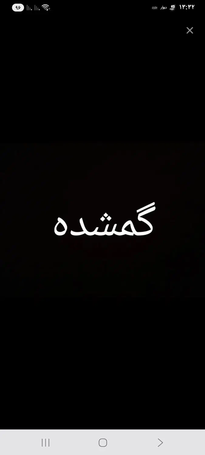 یک سگ خانگی پیدا کردم|سگ|اسلامشهر, شهرک واوان|دیوار