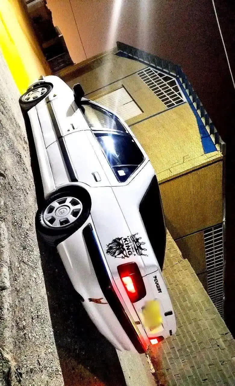 پژوپارس|خودرو سواری و وانت|بیرجند, |دیوار