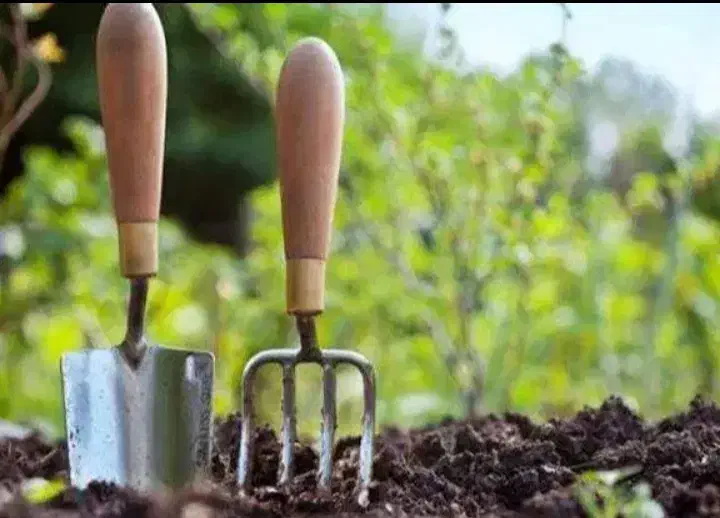 کارگر روز مزد هستم|خدمات پیشه و مهارت|ماسال, |دیوار