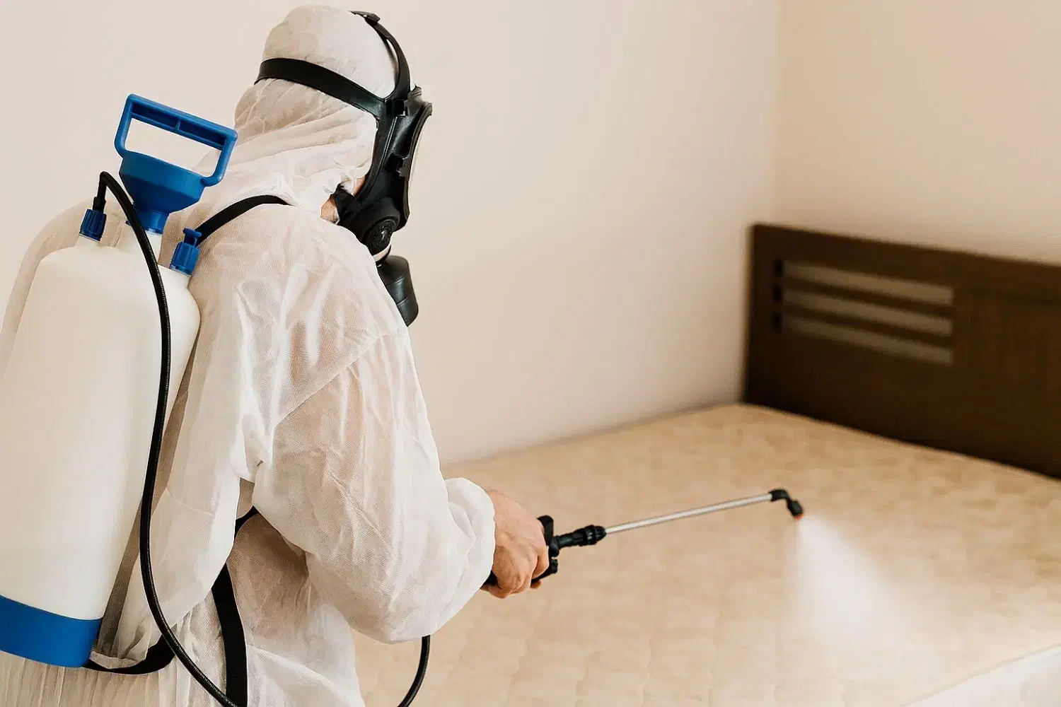 سمپاشی ساس سوسک،کنه کک،موش در تمامی نقاط تهران|خدمات نظافت|ری, شهید غیوری (ابن باویه)|دیوار