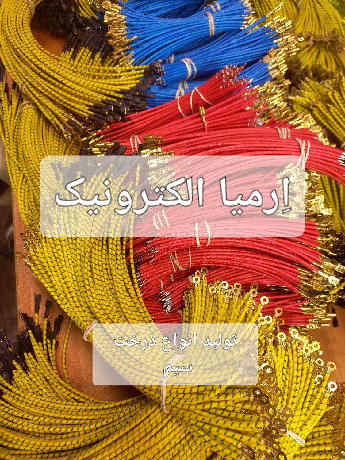 تولید و مونتاژ انواع دسته سیم سوکت کانکتور سیمدار|قطعات و لوازم جانبی رایانه|تهران, فردوسی|دیوار