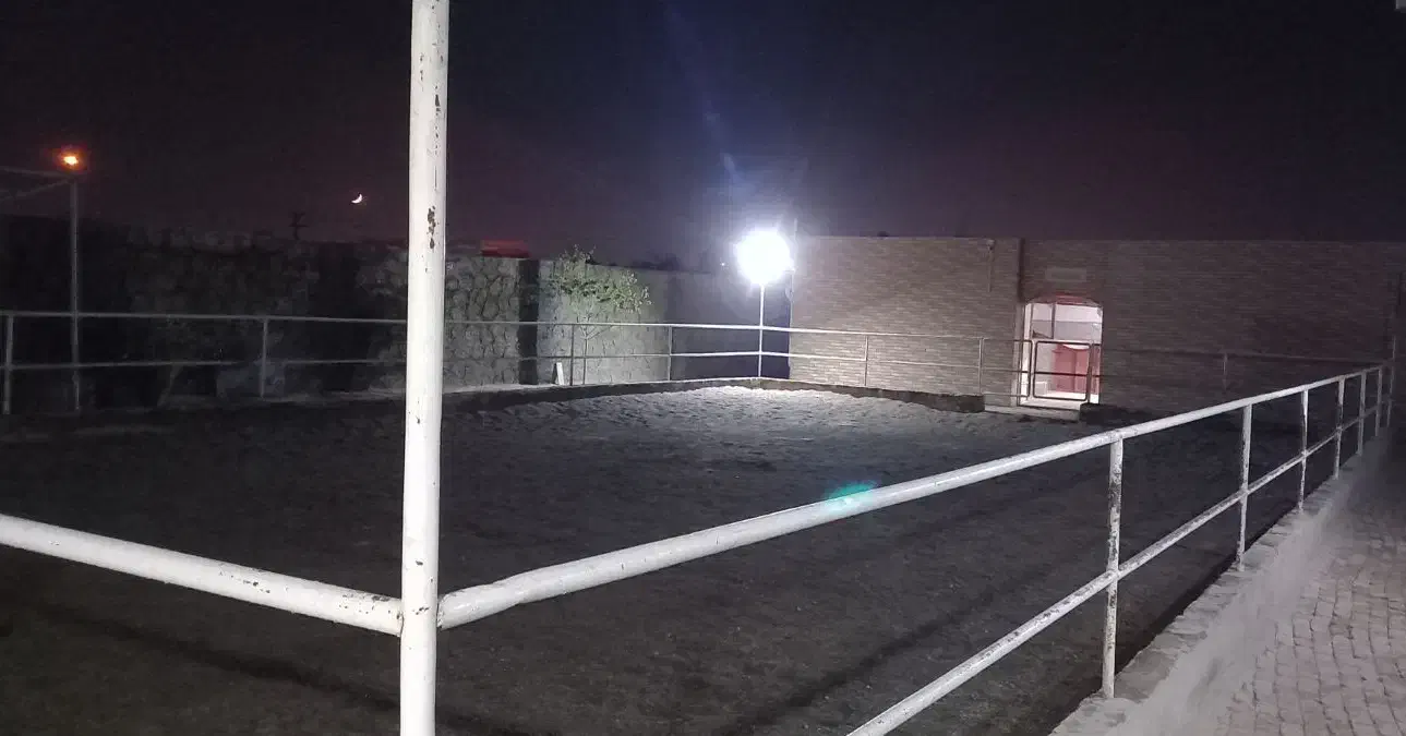 مجموعه پرورش وترین اسب عرب اهورااستاد|اسب و تجهیزات اسب‌سواری|اصفهان, فرودگاه شهید بهشتی|دیوار