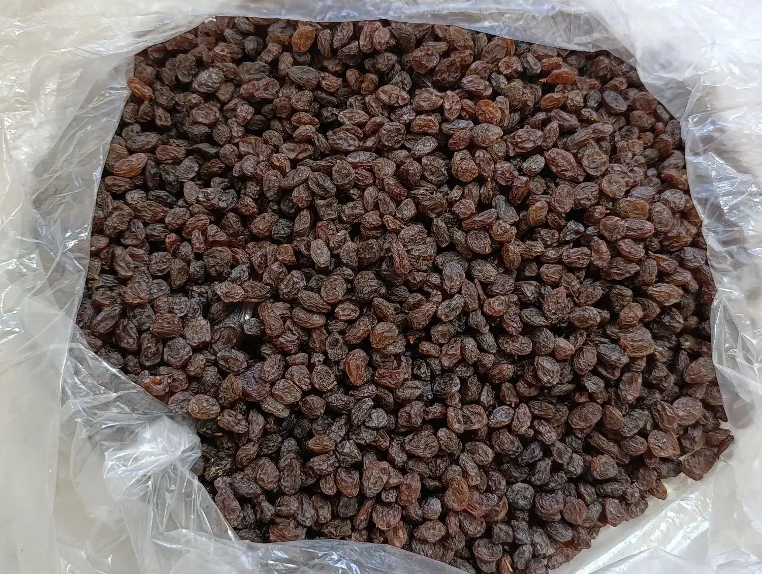 کشمش خشکباری|خوردنی و آشامیدنی|ری, شهرک نظامی|دیوار