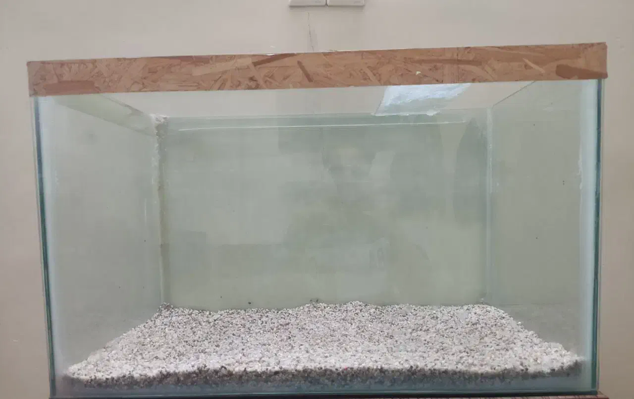 اکواریوم|ماهی|پاکدشت, پاکدشت (مامازند)|دیوار