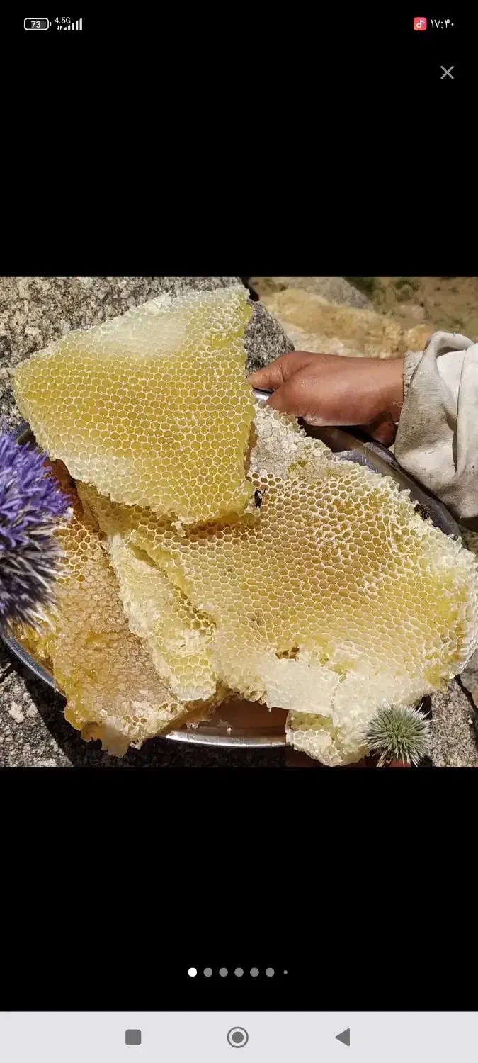 عسل وحشیه کوه درجه یک|خوردنی و آشامیدنی|گیان, |دیوار