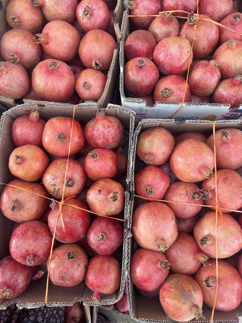 انار دانه قرمز درجه یک آبدار|خوردنی و آشامیدنی|یزد, |دیوار