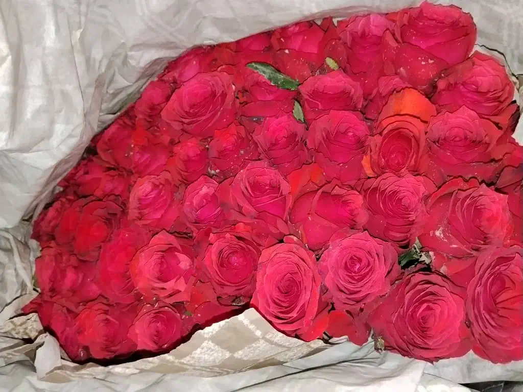 گل رز ایرانی بسته|گل و گیاه طبیعی|شیراز, شیخ علی چوپان|دیوار