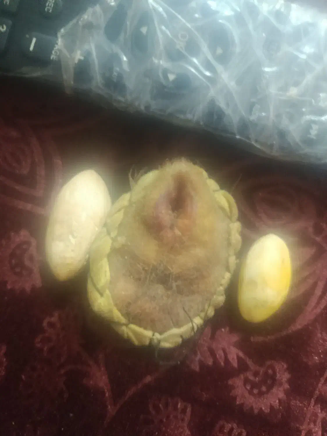 مهررگ قدیمی|جواهرات|زاهدان, |دیوار