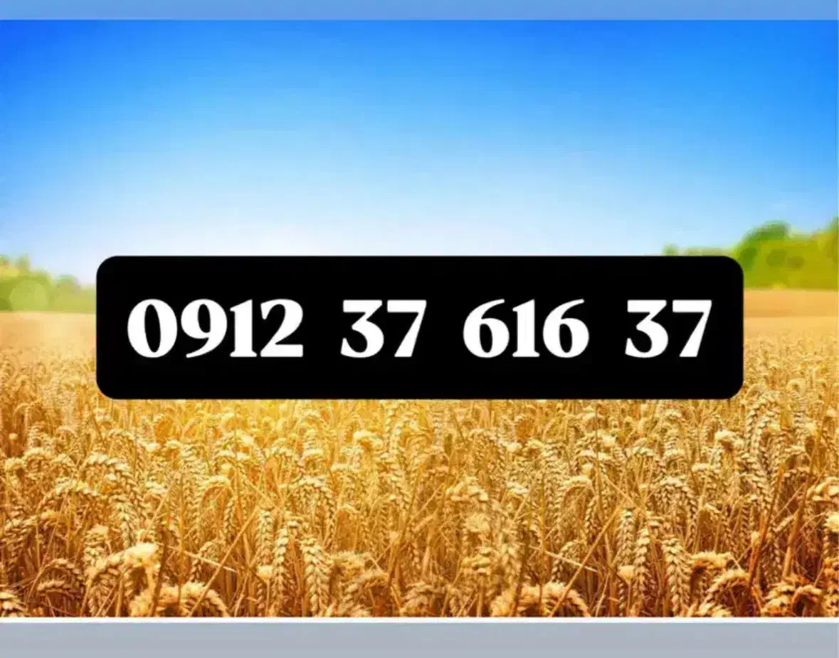 سیمکارت۹۱۲.۳۷.۶۱۶.۳۷رند|سیم‌کارت|تهران, تهرانسر مرکزی|دیوار