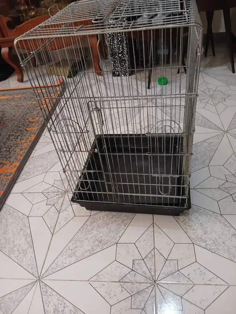 قفس|لوازم جانبی حیوانات|رشت, نظری|دیوار