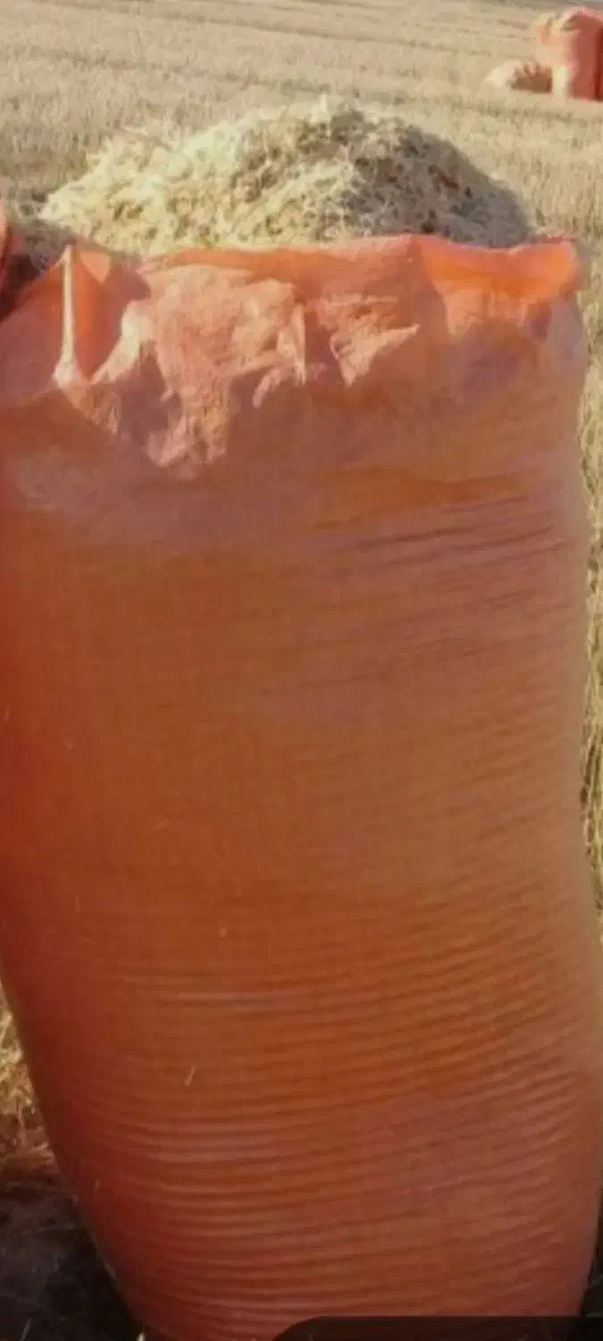 کاه گندم|لوازم جانبی حیوانات|قلعه شاهین, |دیوار