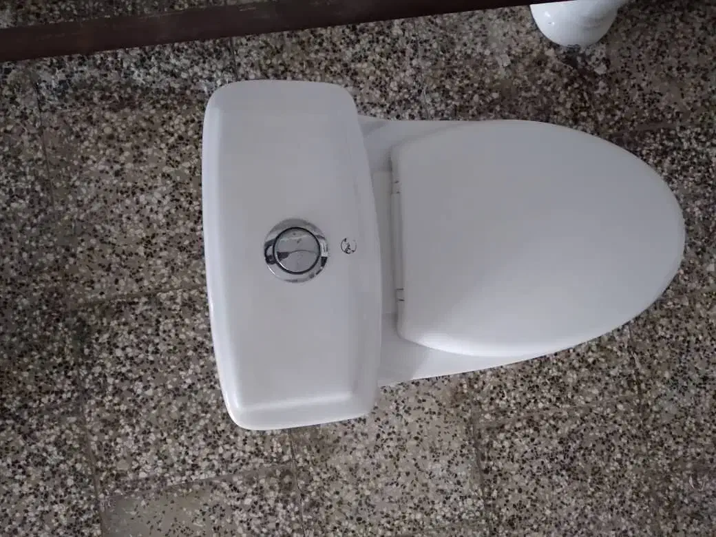 توالت فرنگی سرامیکی|لوازم سرویس بهداشتی|گنبد کاووس, |دیوار