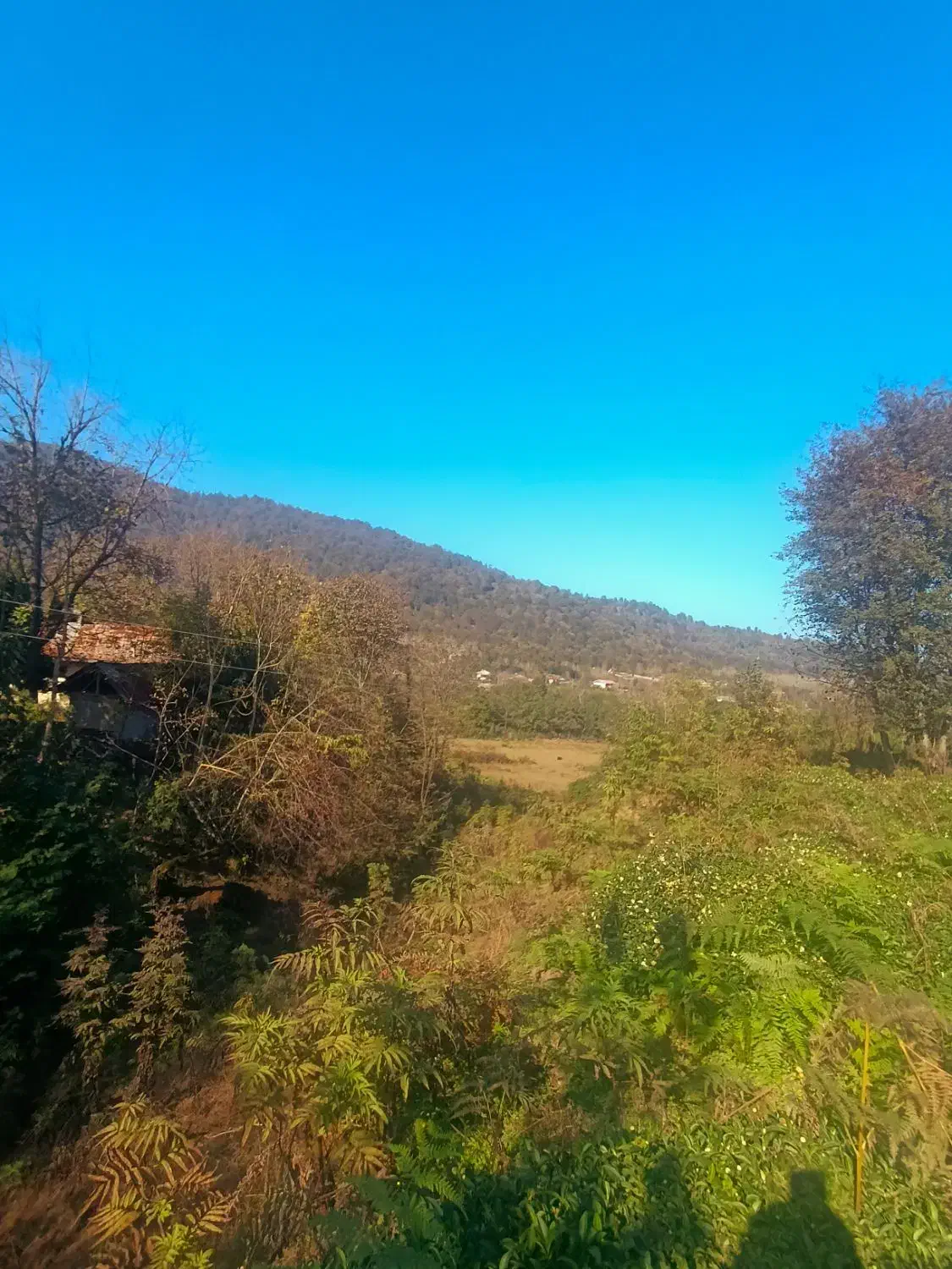 546متری کوهستانی سیاهمزگی شفت|فروش زمین و ملک کلنگی|احمدسرگوراب, |دیوار