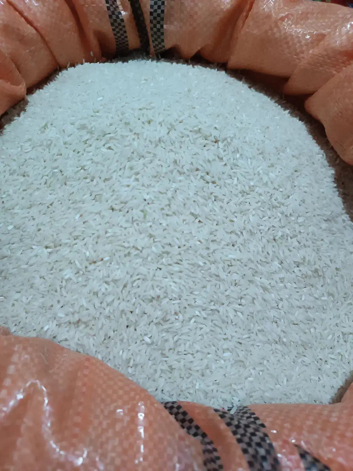 برنج هاشمی|خوردنی و آشامیدنی|رشت, جانبازان|دیوار