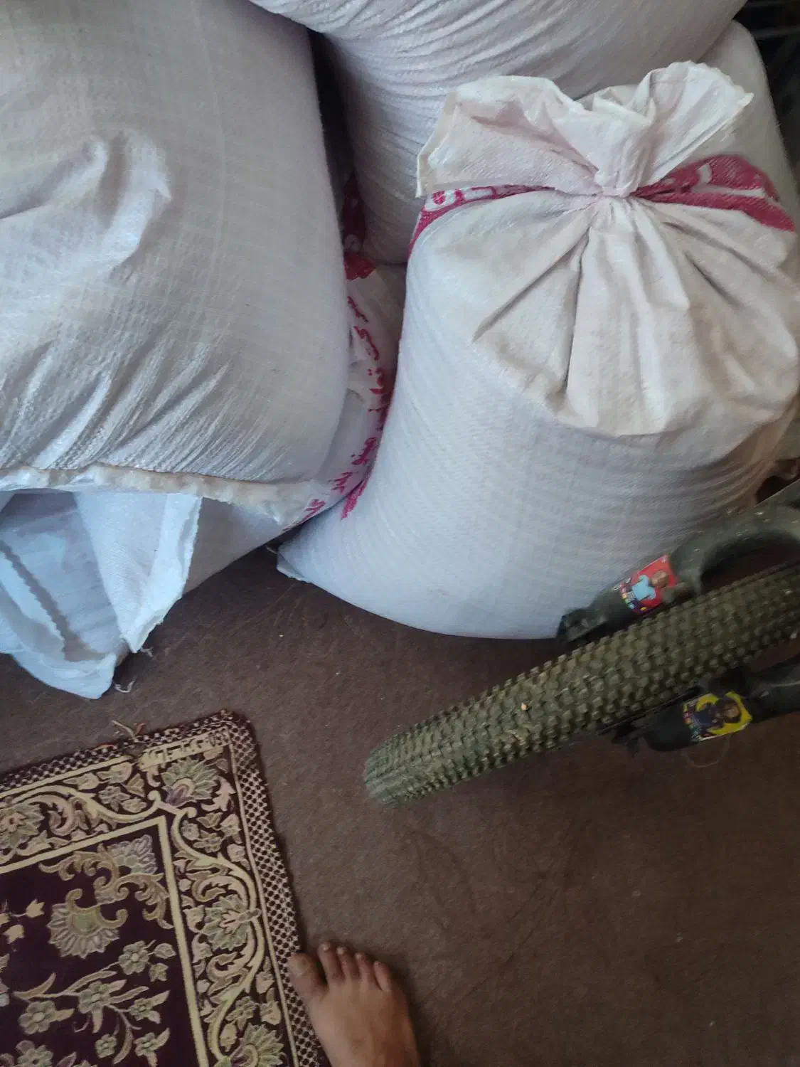 بذر گندم هراز دولتی|گل و گیاه طبیعی|گالیکش, |دیوار