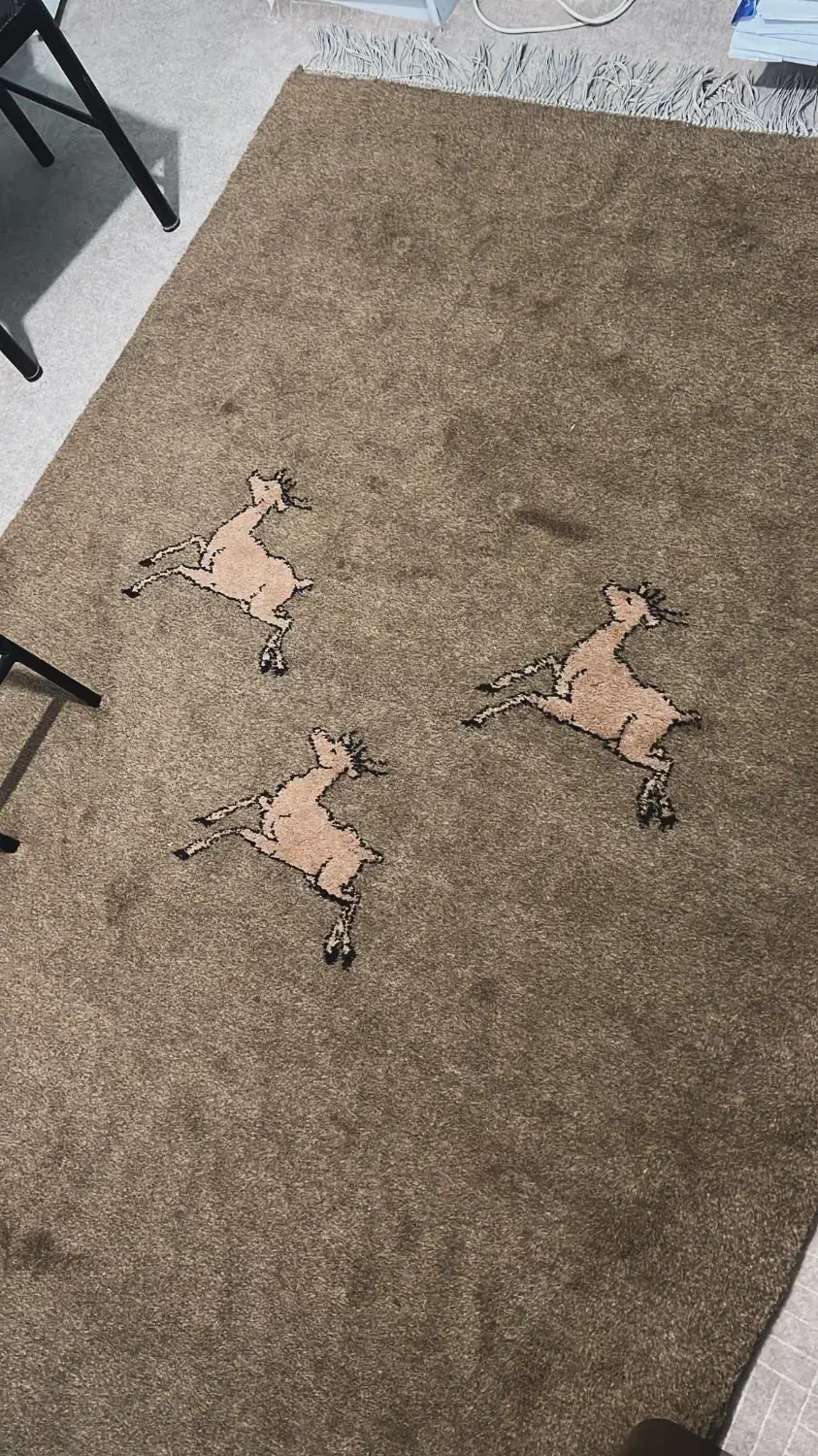 گبه دستبافت|گلیم، جاجیم، گبه|شهرکرد, |دیوار