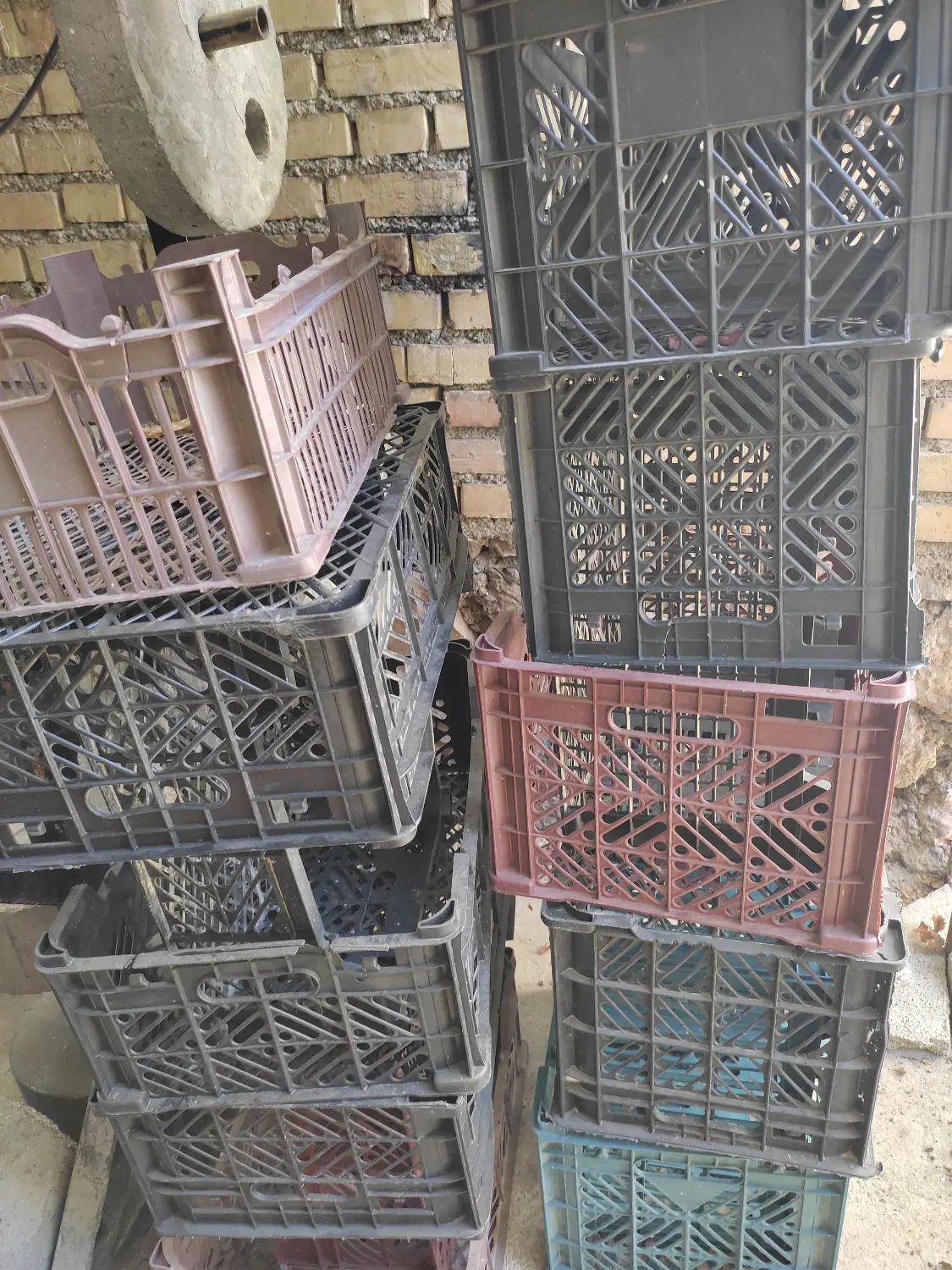 سبد|ظروف نگهدارنده، پلاستیکی، یکبارمصرف|سیسخت, |دیوار