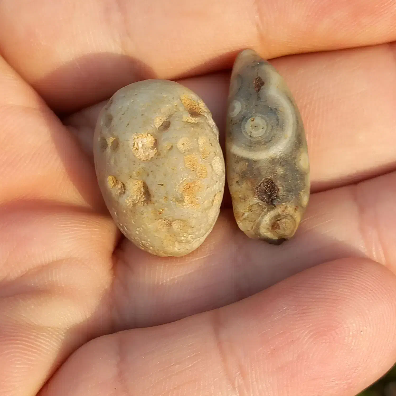 مهره برد عقیق باباقوری چشم دار قدیمی|جواهرات|یاسوج, |دیوار