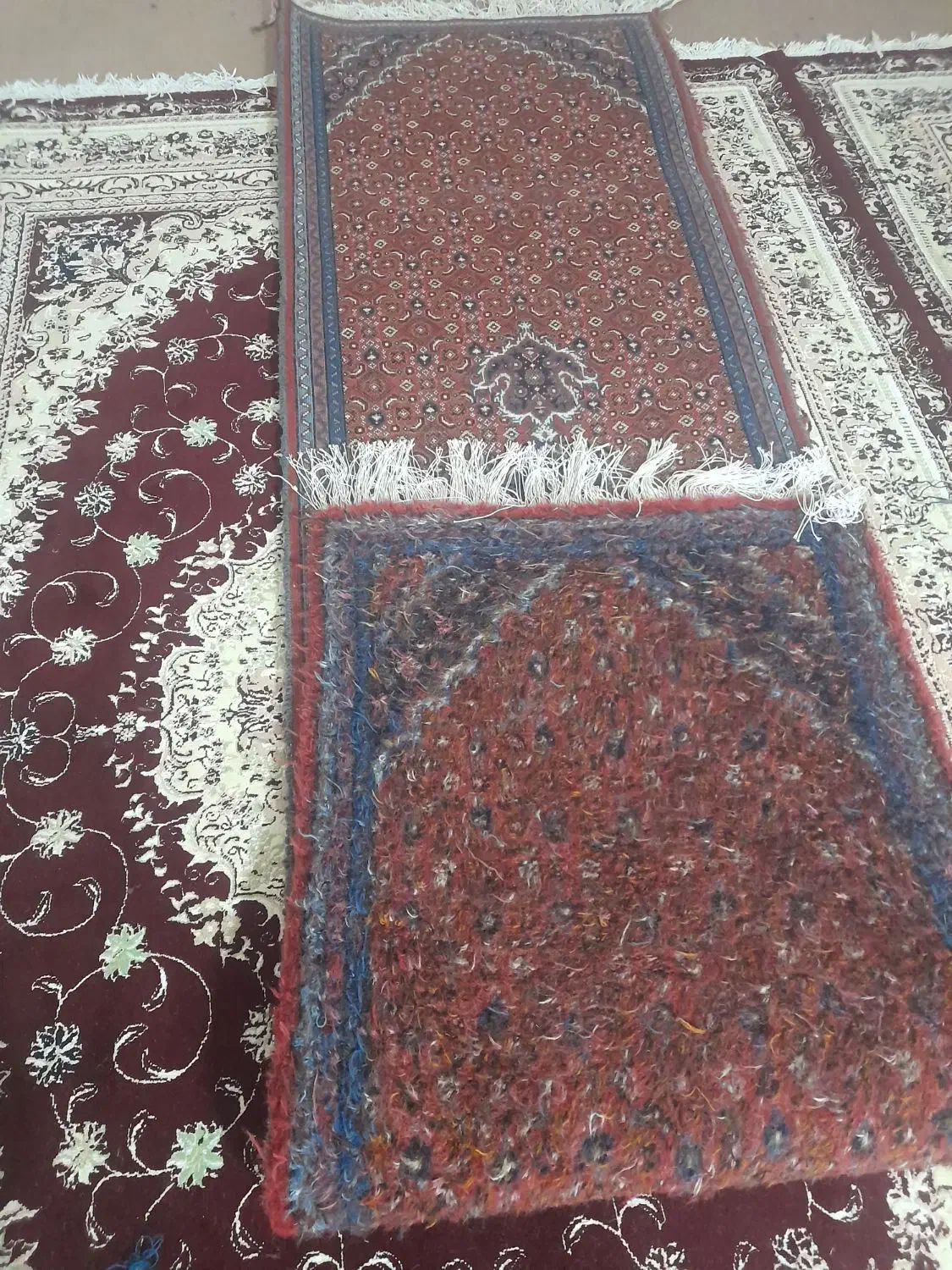 فرش کناره میراشرف|فرش|اردبیل, |دیوار