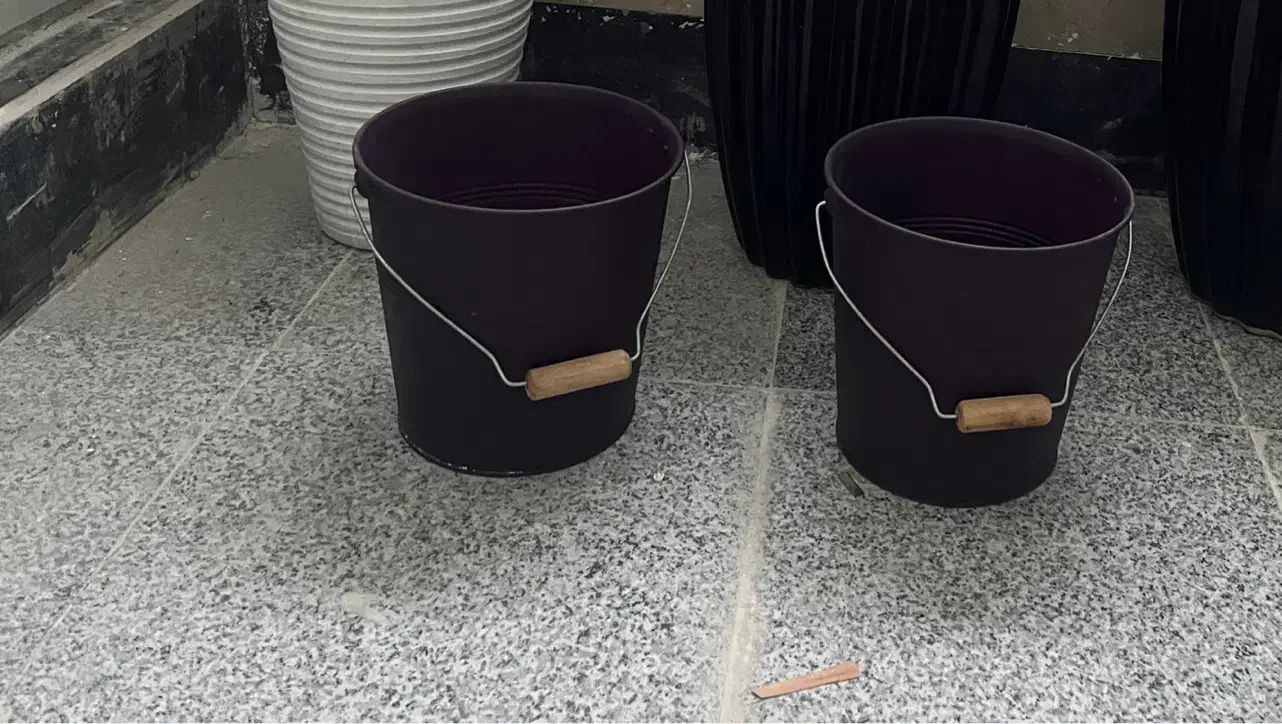 گلدان سطلی فلزی|گل و گیاه طبیعی|کرمانشاه, |دیوار