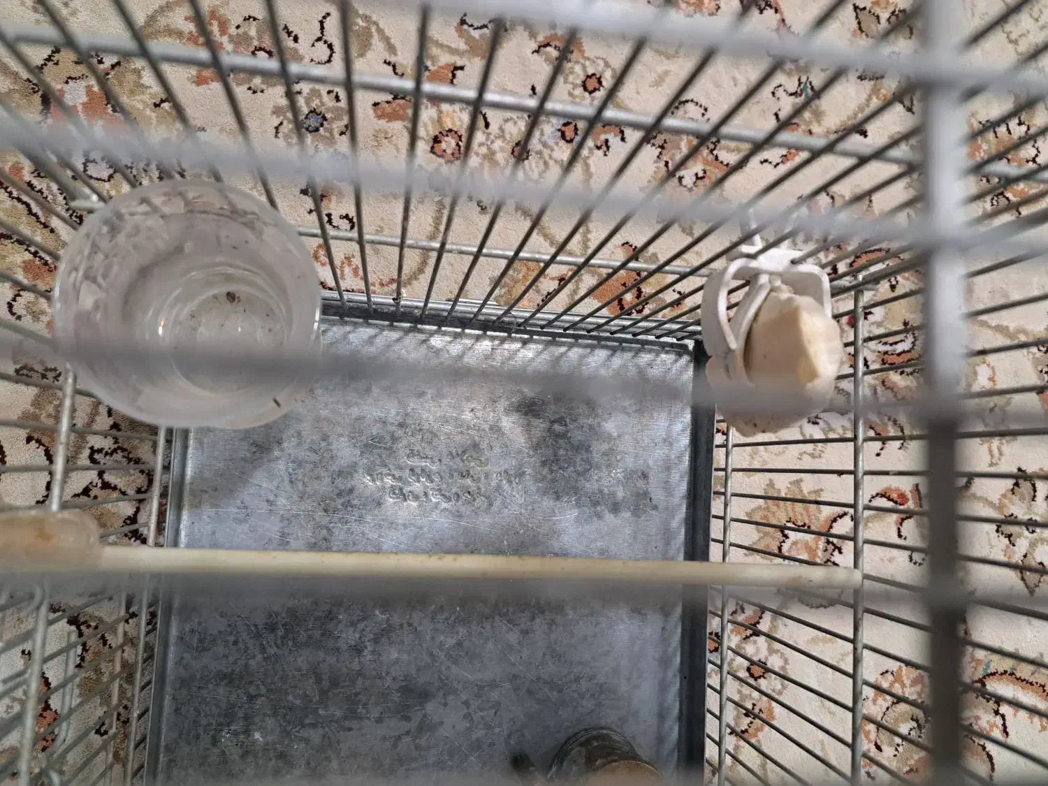 قفس غلامی جادونی و جاماسه برنجی خرجینی|لوازم جانبی حیوانات|قرچک, زیبا شهر|دیوار