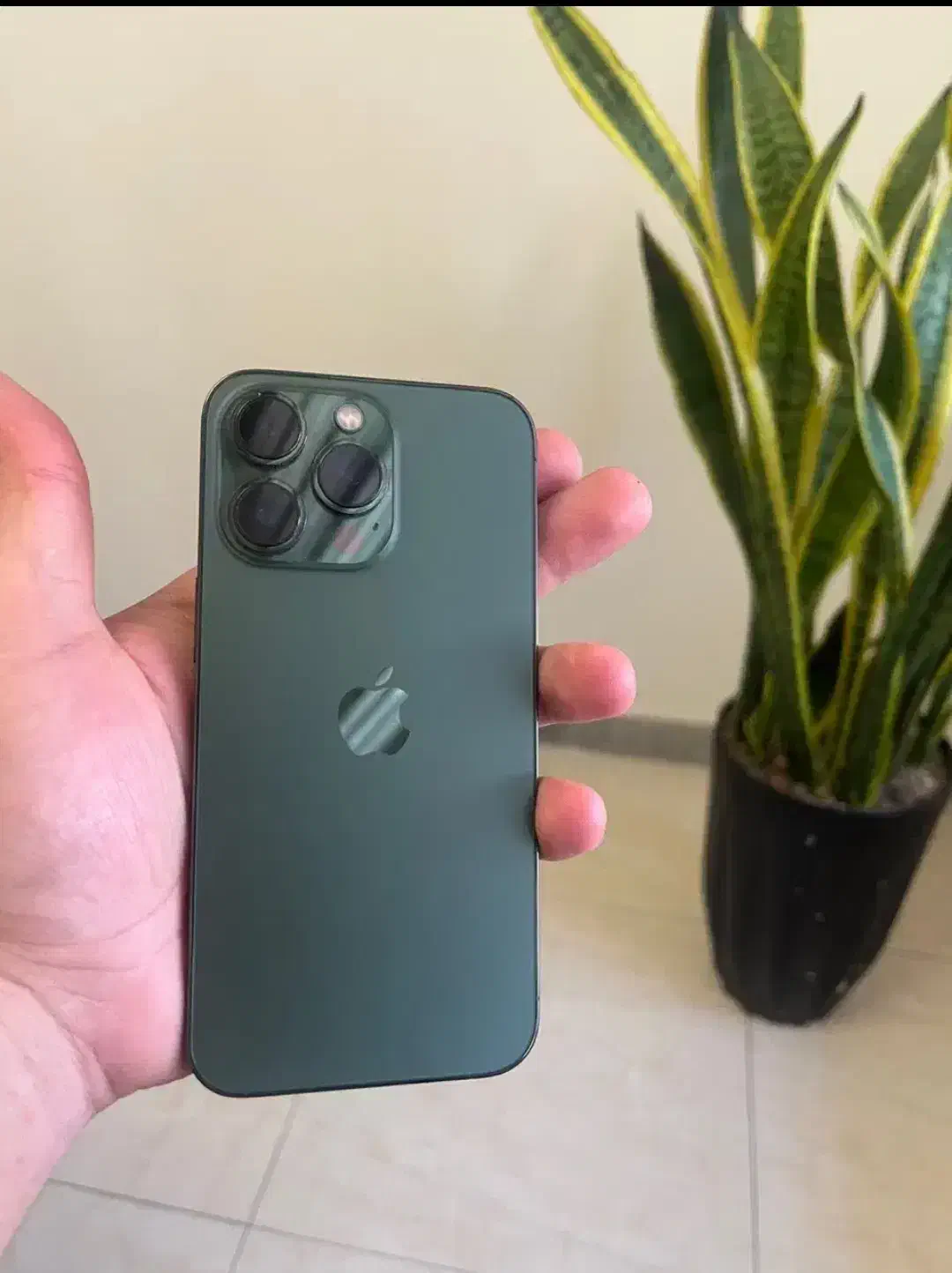 iphone 13 pro 256|موبایل|ارومیه, |دیوار