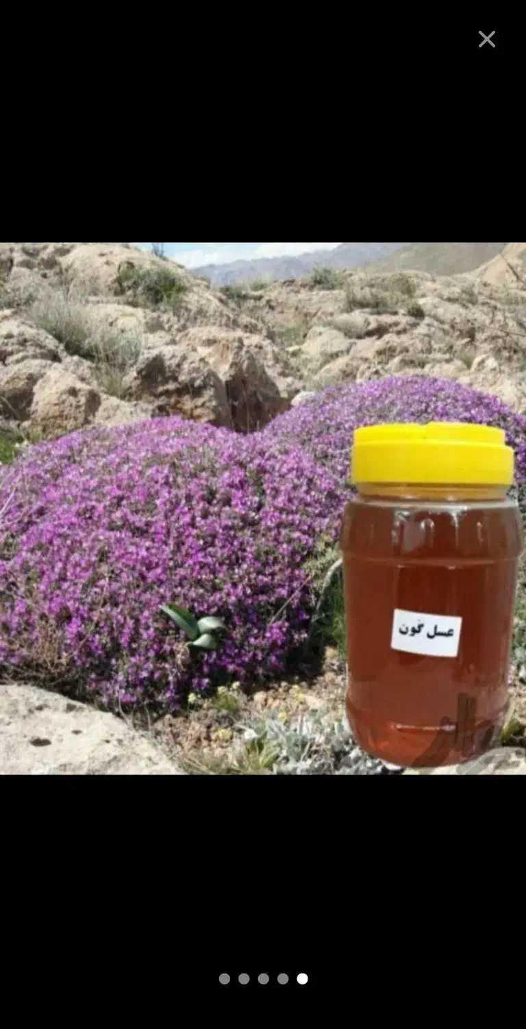 عسل گون|خوردنی و آشامیدنی|قم, آزادگان|دیوار