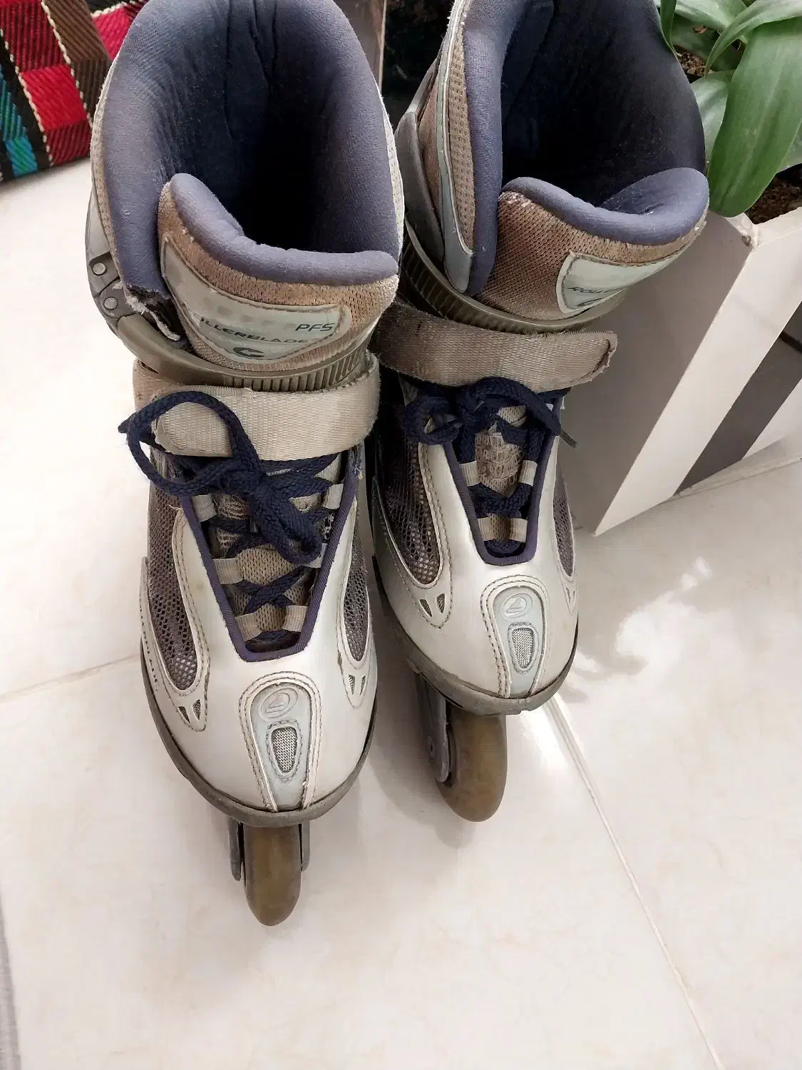 اسکیت|دوچرخه، اسکیت، اسکوتر|قوچان, |دیوار