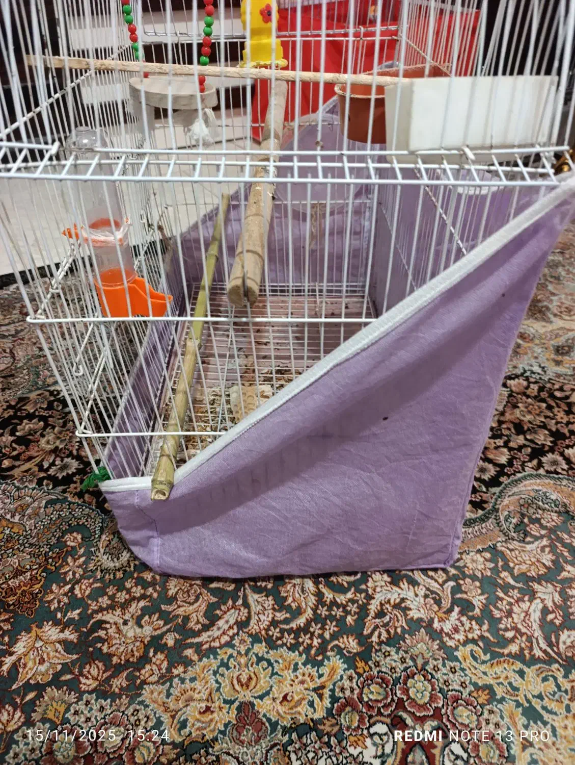 فروش قفس طوطی|لوازم جانبی حیوانات|لاهیجان, کوی زمانی|دیوار