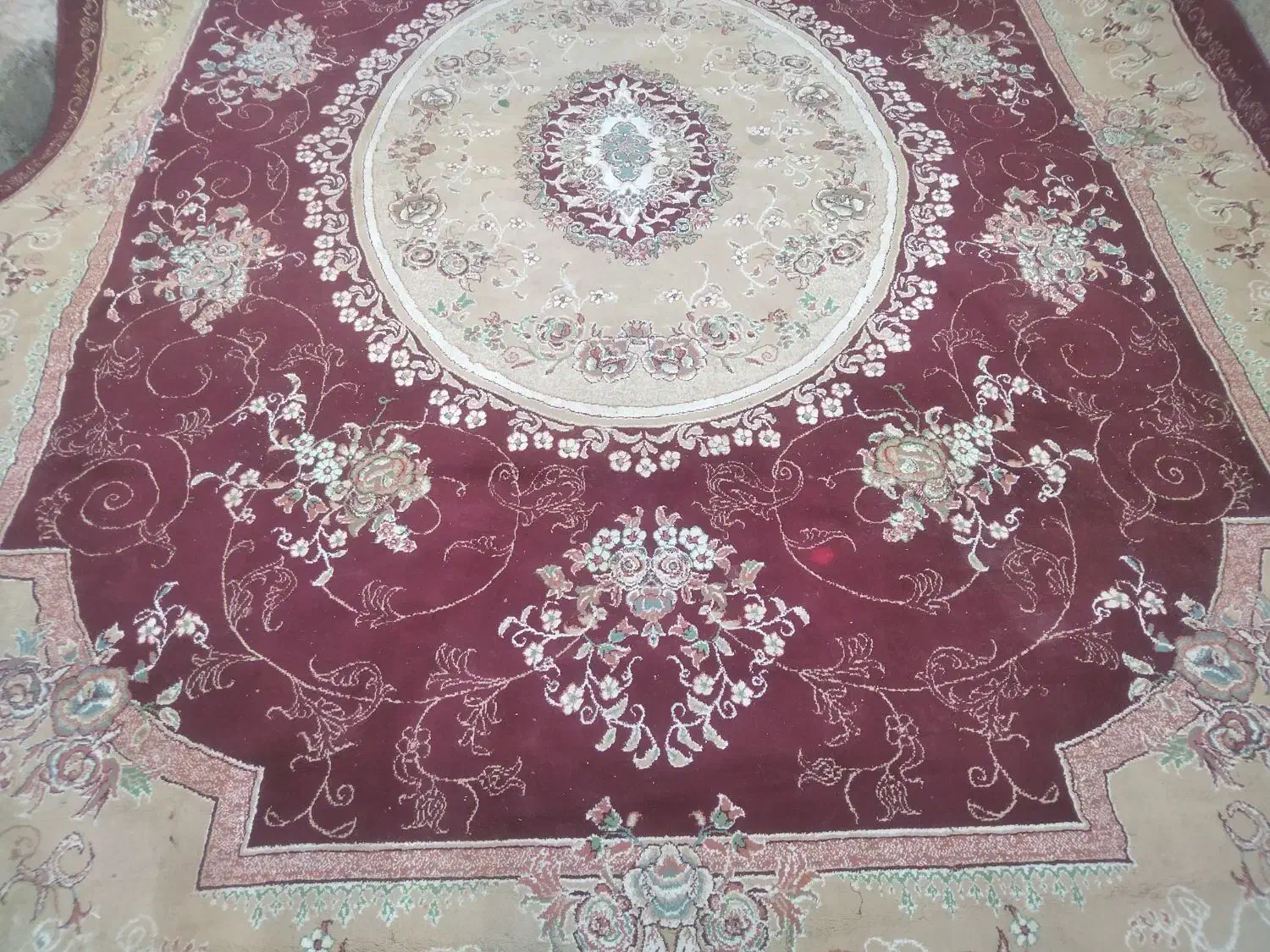 قالی12متری بسیار تمیز|فرش|رامشیر, |دیوار