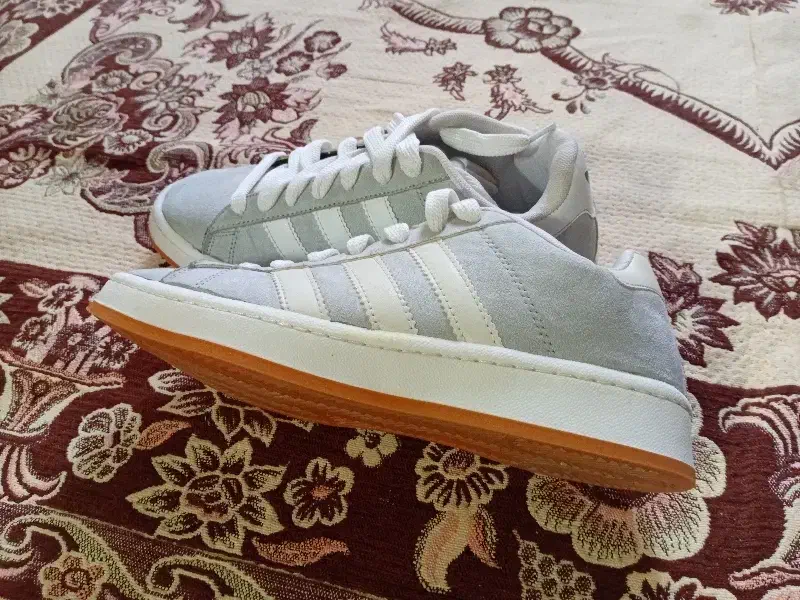 کفش|کیف، کفش، کمربند|مشهد, خواجه ربیع|دیوار