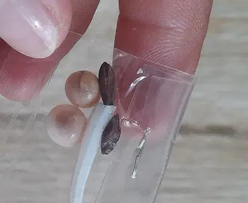 مهره اصل باتخفیف ۸۰۰هزار|بدلیجات|کاشان, امیرکبیر|دیوار