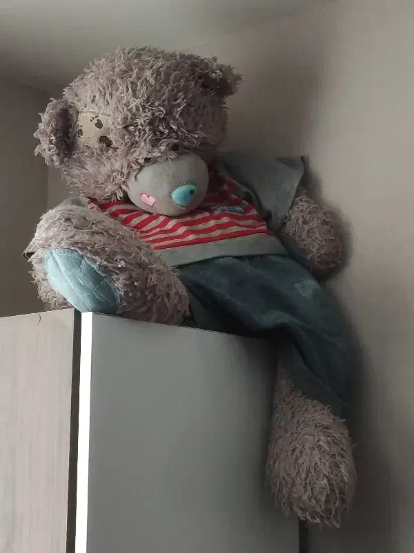 خرس بزرگ|اسباب‌بازی بچه|مشهد, دانشجو|دیوار