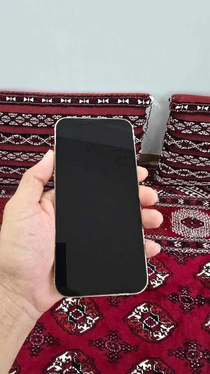 آیفون پرومکس iphone13 pro max|موبایل|گنبد کاووس, |دیوار