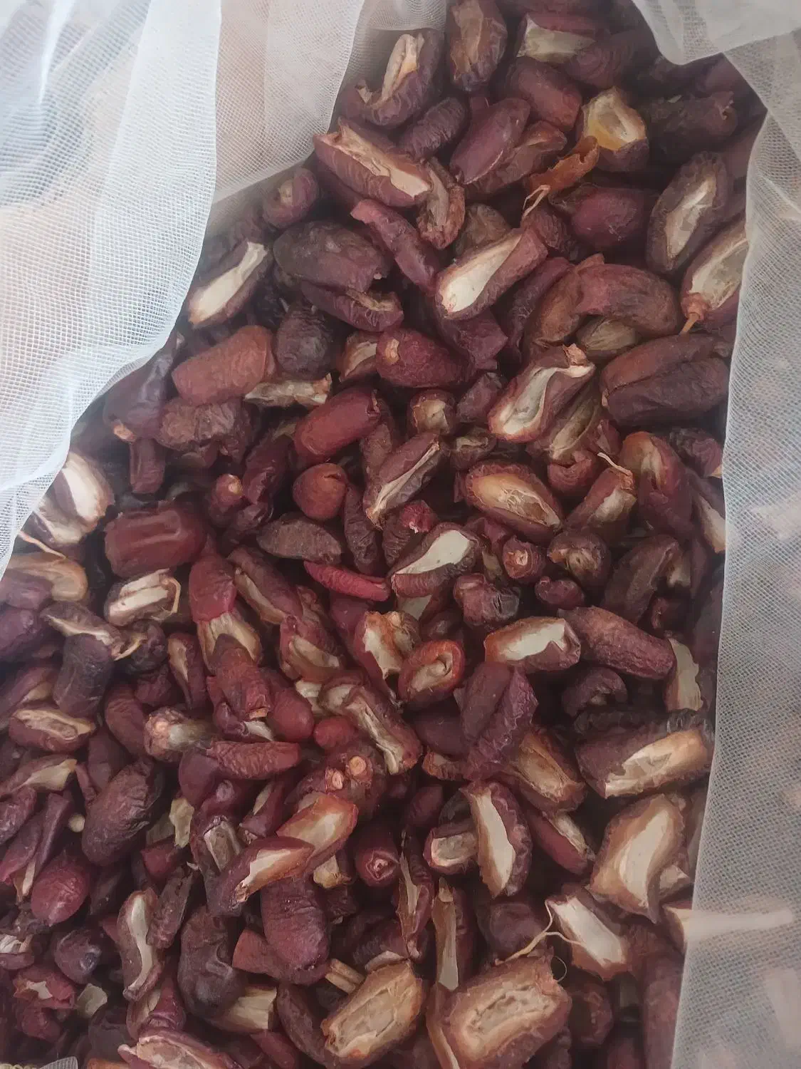 فروش انواع خرما تازه امسال نمایشگاه سیرجان|خوردنی و آشامیدنی|سیرجان, |دیوار