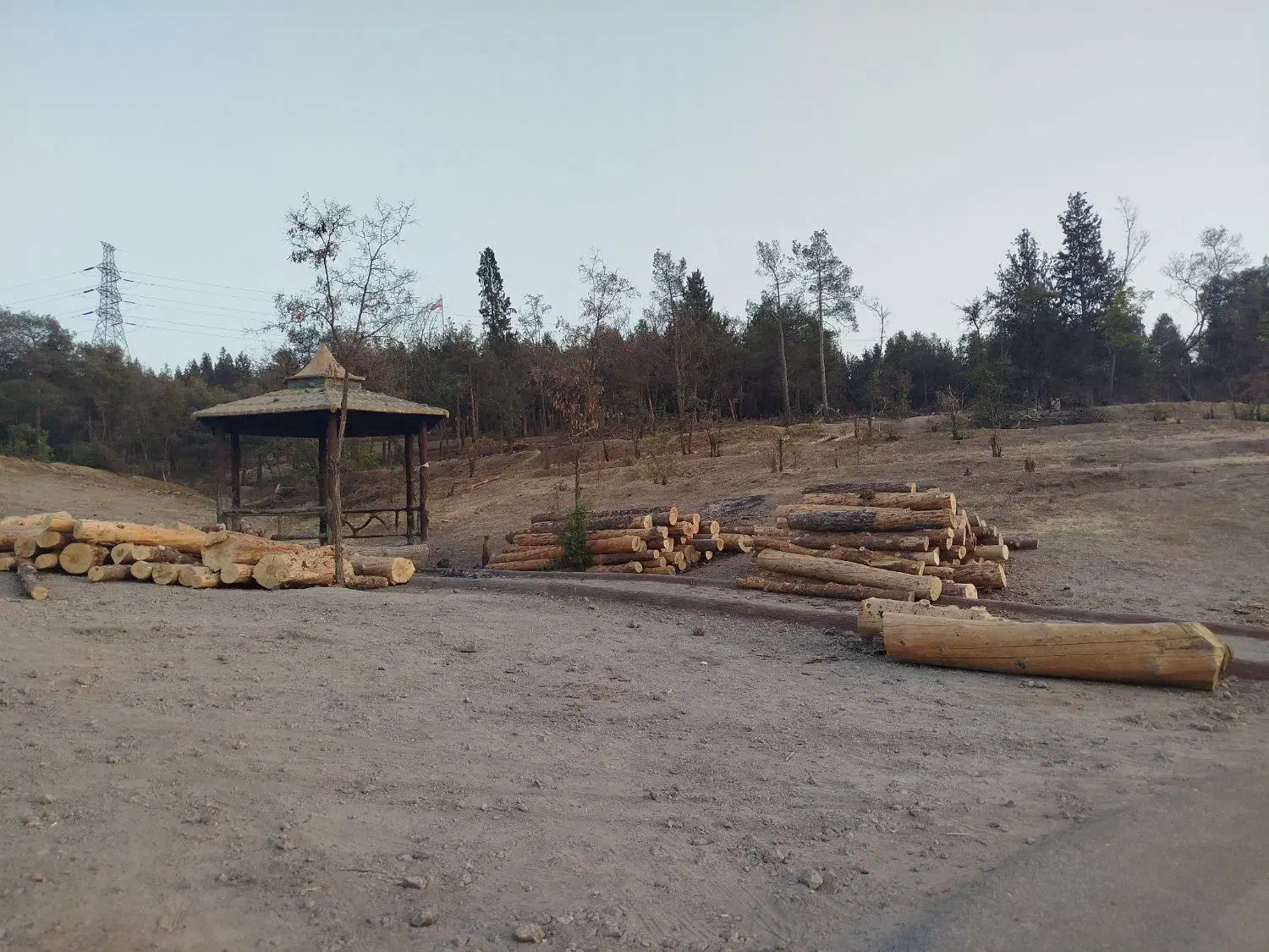 خرید انواع چوب|خدمات باغبانی و درختکاری|اقبالیه, |دیوار