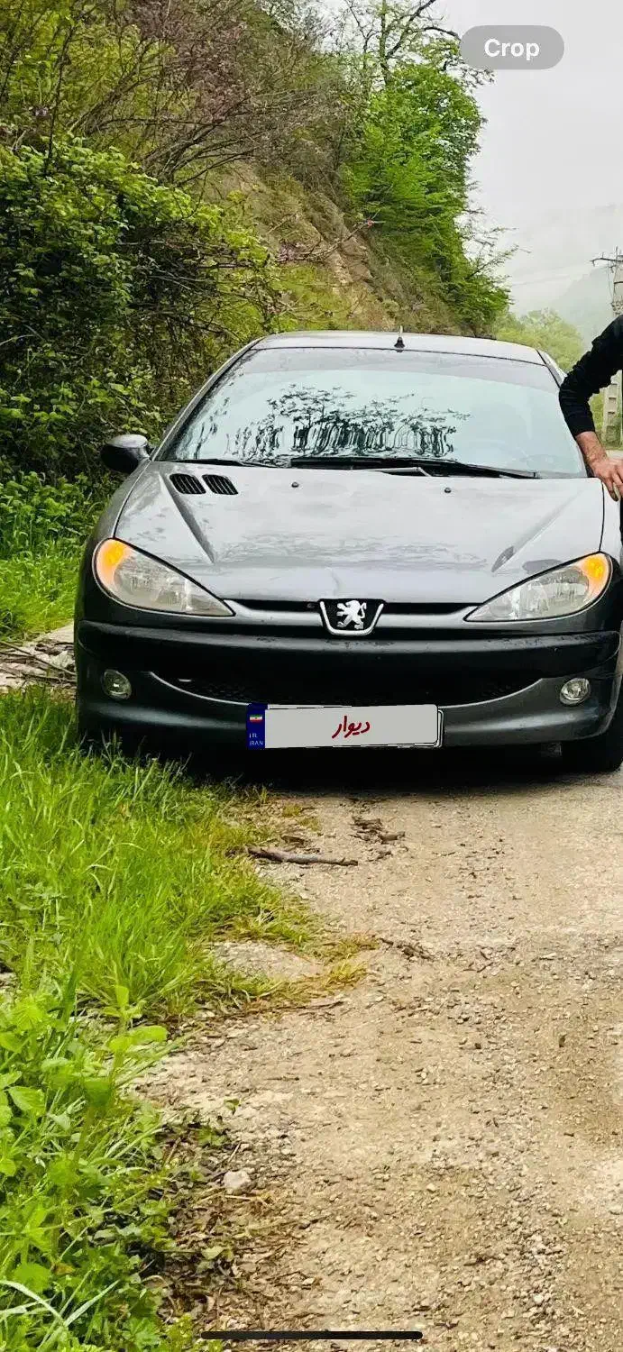 ۲۰۶ تیپ ۲|خودرو سواری و وانت|تهران, هلال احمر|دیوار