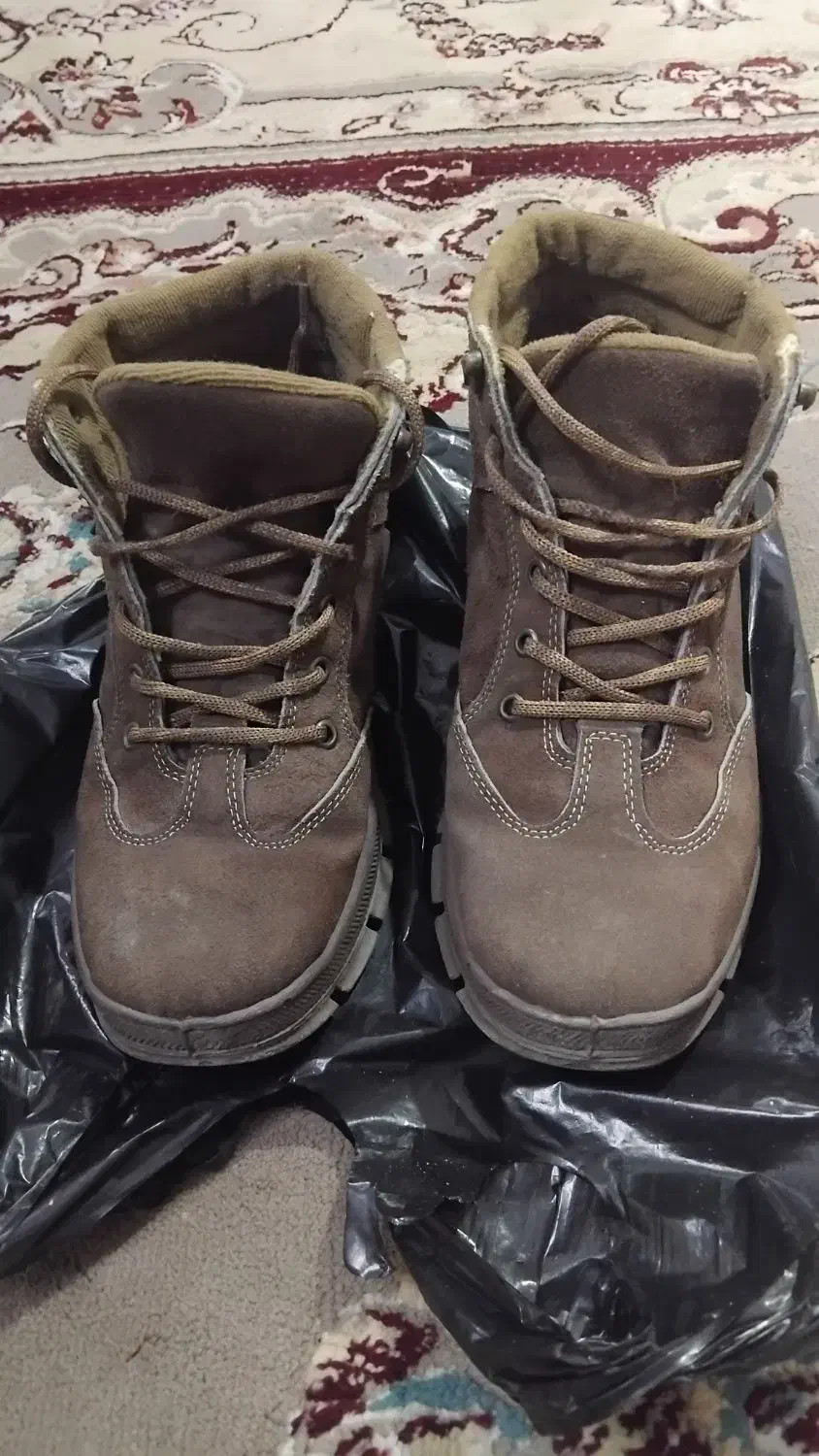 کفش|کیف، کفش، کمربند|نیشابور, فیض آباد|دیوار